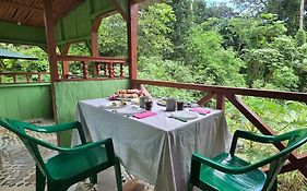 Casas Salomao