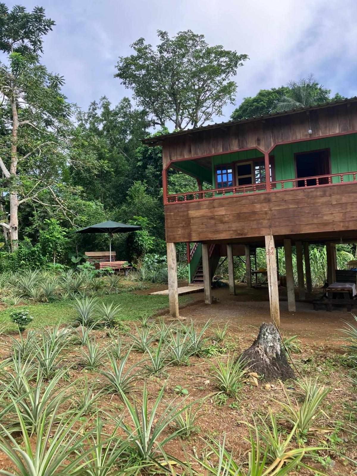 Casas Salomao Santo António Exterior foto